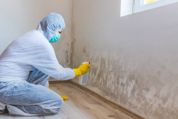 Licensed Bathroom Mold Removal service in Hughesville, MD - WQB Mold Removal
